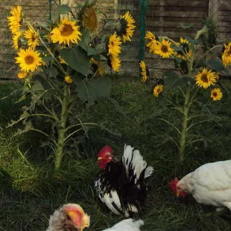 Nahe Ostseebad Kuehlungsborn