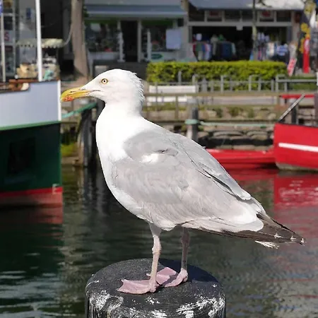 Nahe Ostseebad Kuehlungsborn Gersdorf (Mecklenburg-Vorpommern)