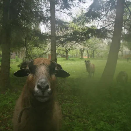 Nahe Ostseebad Kuehlungsborn *